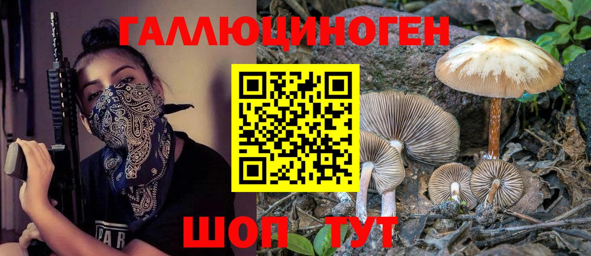 Галлюциногенные грибы прущие грибы Павловский Посад
