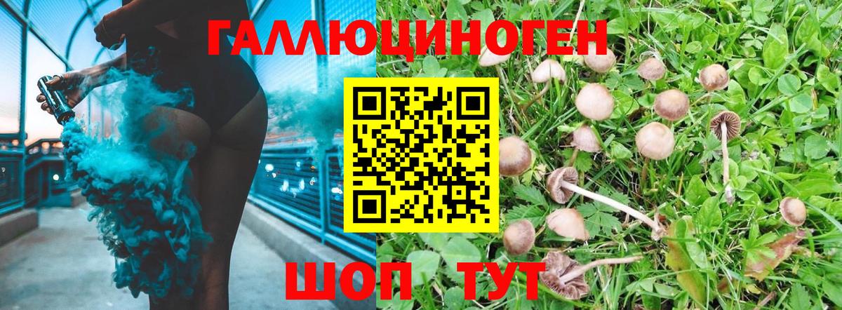Псилоцибиновые грибы прущие грибы  Вход с VPN  Павловский Посад 